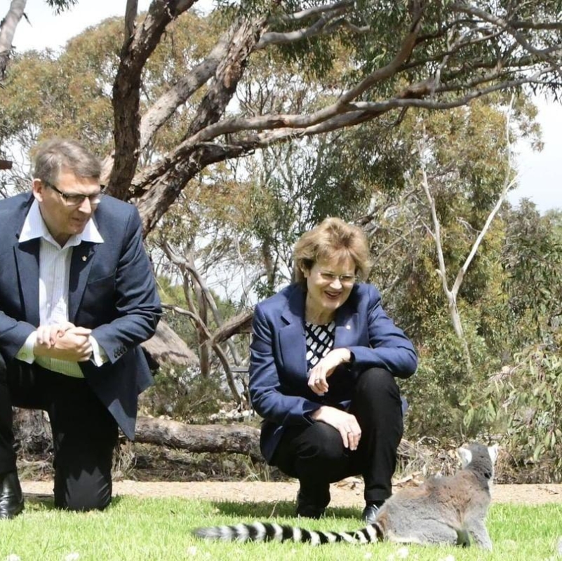 Visit to Monarto Safari Park to view some of the developments at the open-range sanctuary, including the walk-through lemur habitat!