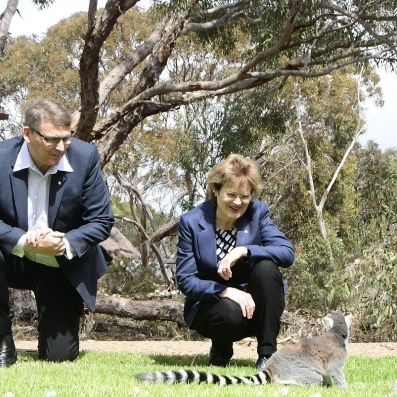 Visit to Monarto Safari Park to view some of the developments at the open-range sanctuary, including the walk-through lemur habitat!