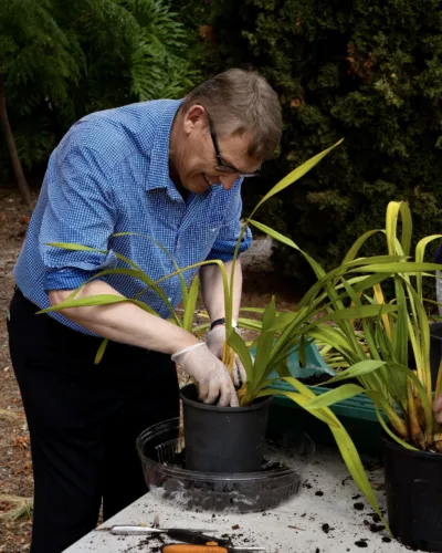 Mr Bunten repotting orchids at the Orchid Club of South Australias Culture Day event