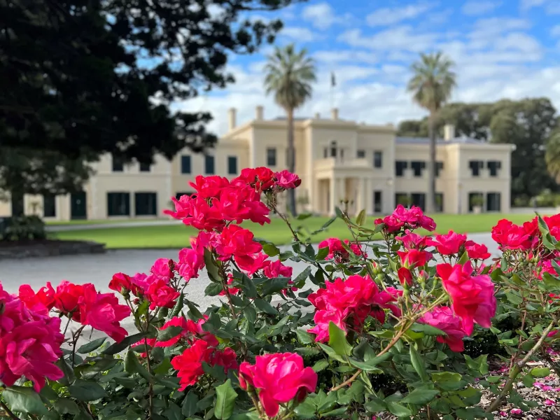 Government House roses in bloom.