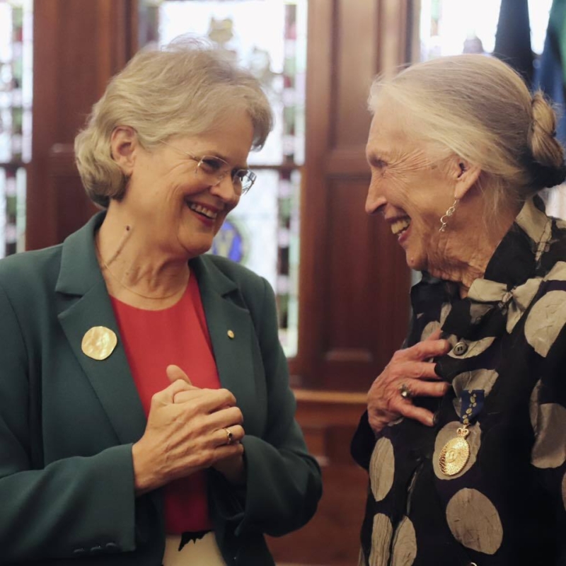 Australian Dance reception